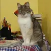 Отзыв от Фаина Снегирева